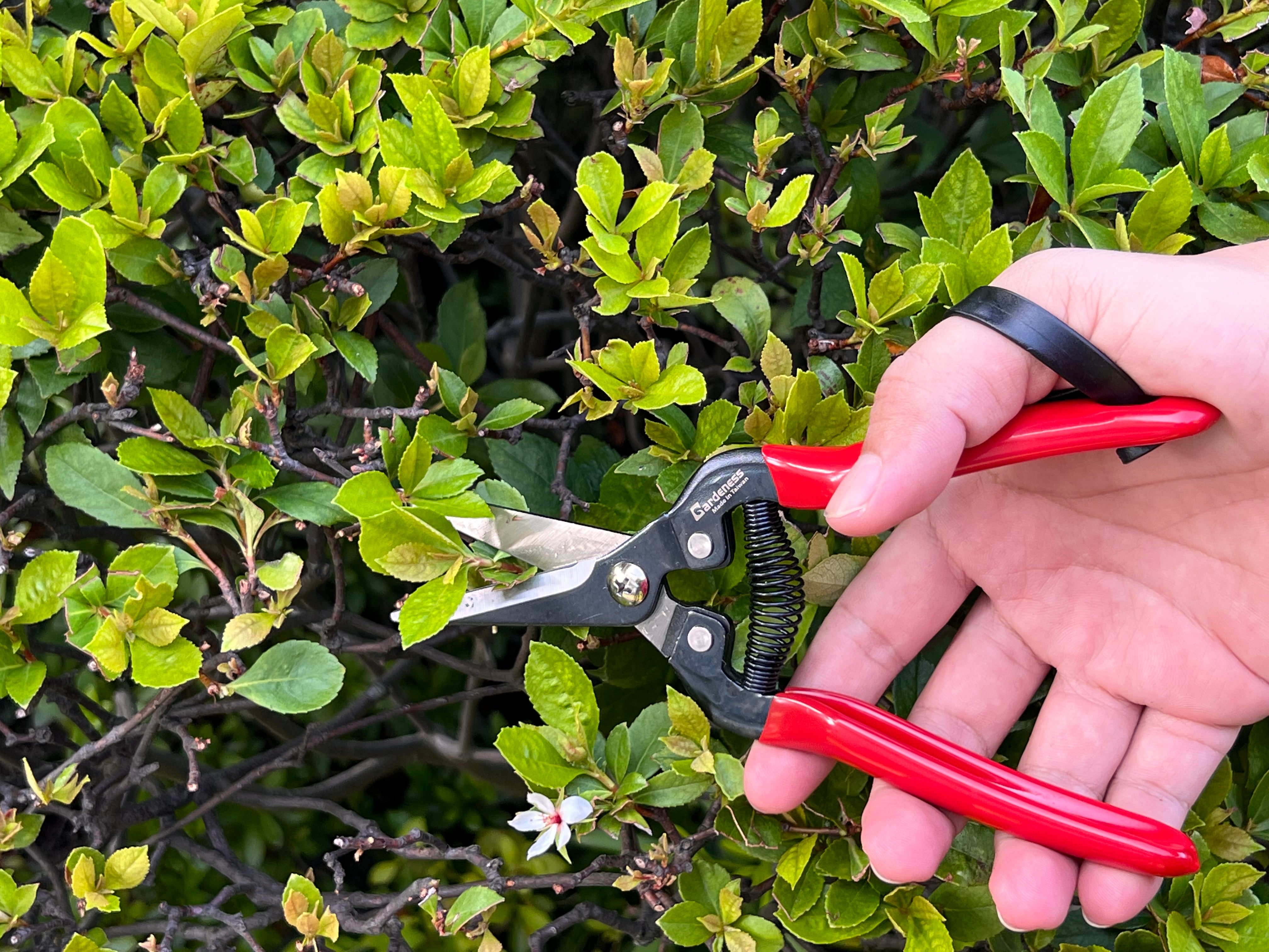 11. Garden Scissors