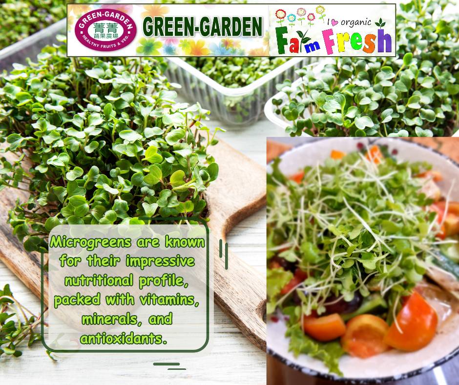 Vegetable Fresh Microgreen