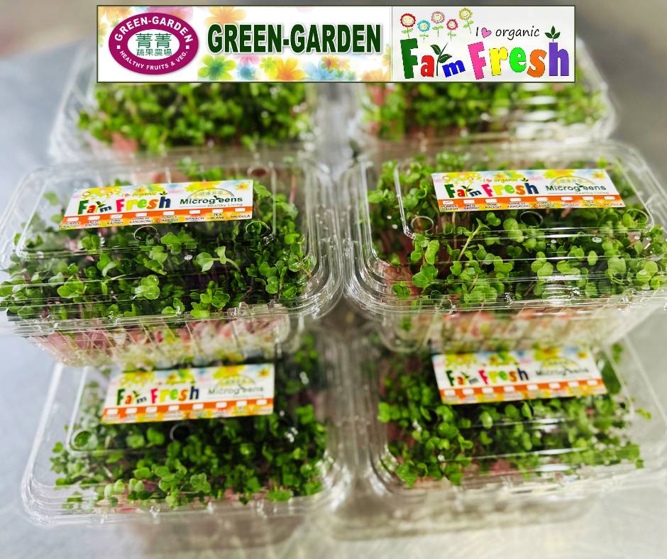 Vegetable Fresh Microgreen
