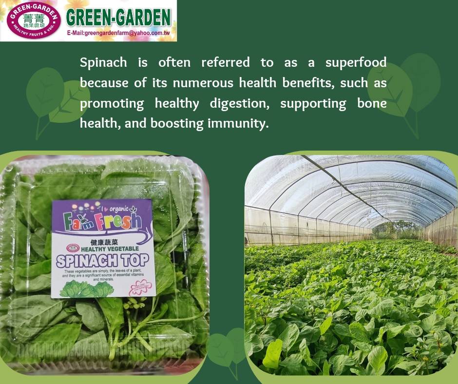 Fresh Vegetable Taiwan Spinach Tops( Styro) "SBMA ONLY" 150g/pack