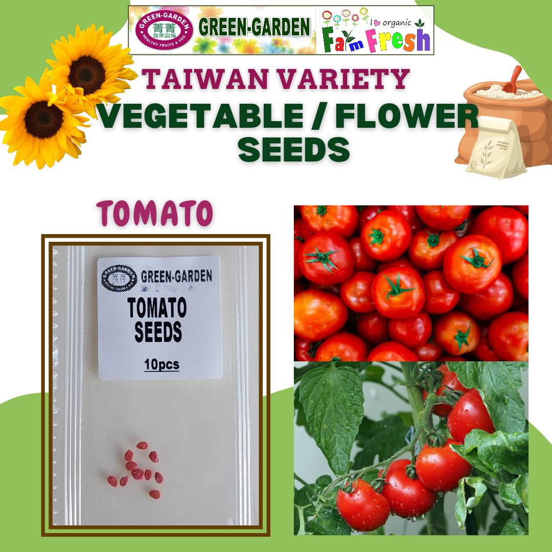 Tomato Seeds (Taiwan Variety) 10pcs/pack