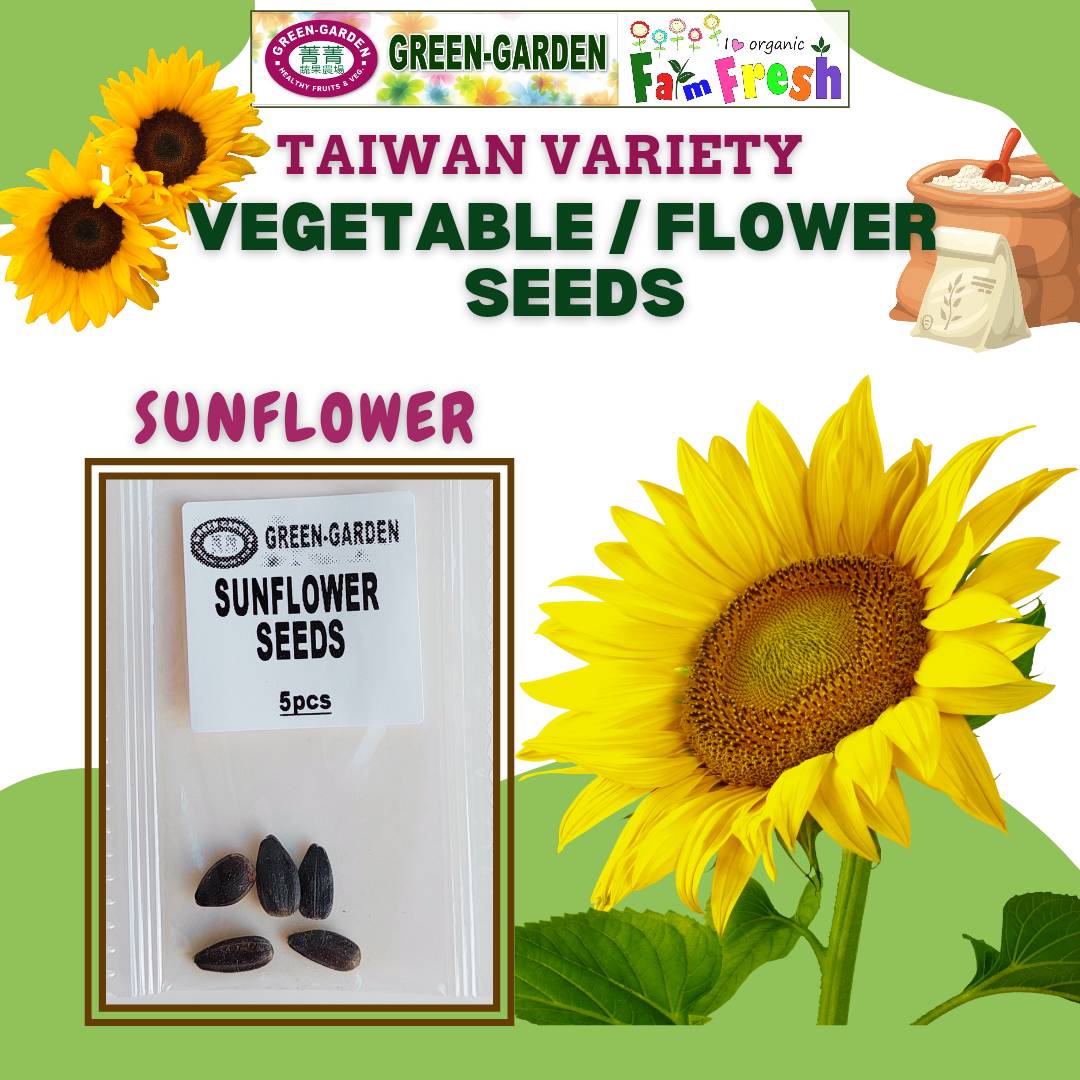 Sunflower Seeds (Taiwan Variety) 5pcs/pack