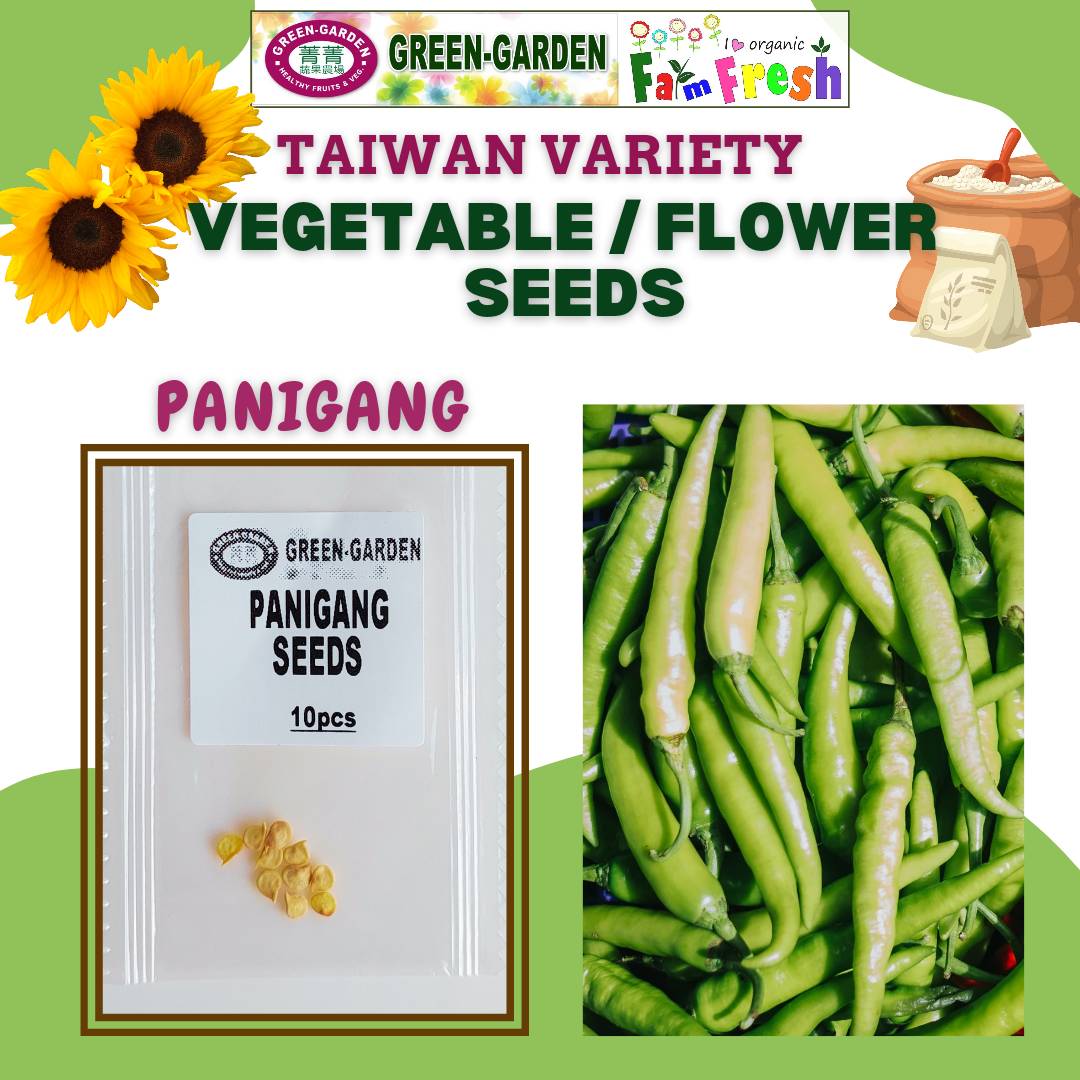 Chili Panigang Seeds 10pcs/pack
