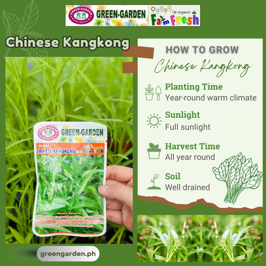 Green Garden Vegetable Seeds (GV-007 Kangkong)