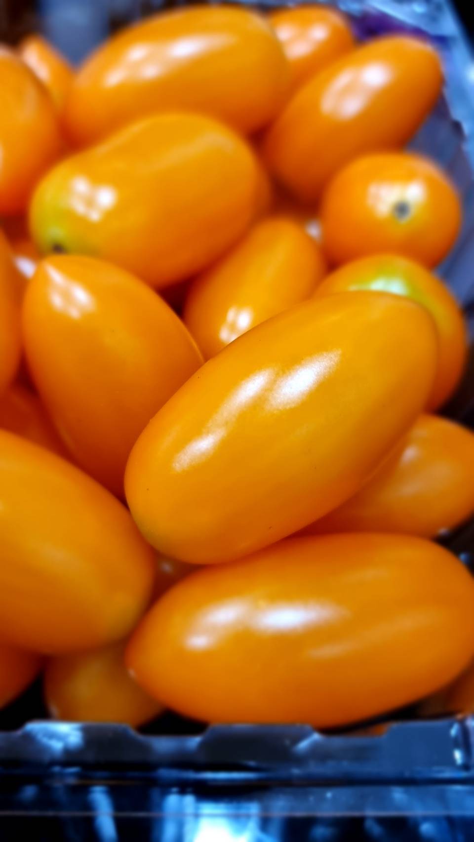 台灣玉女翻茄 Taiwan Cherry Tomato (500grams)