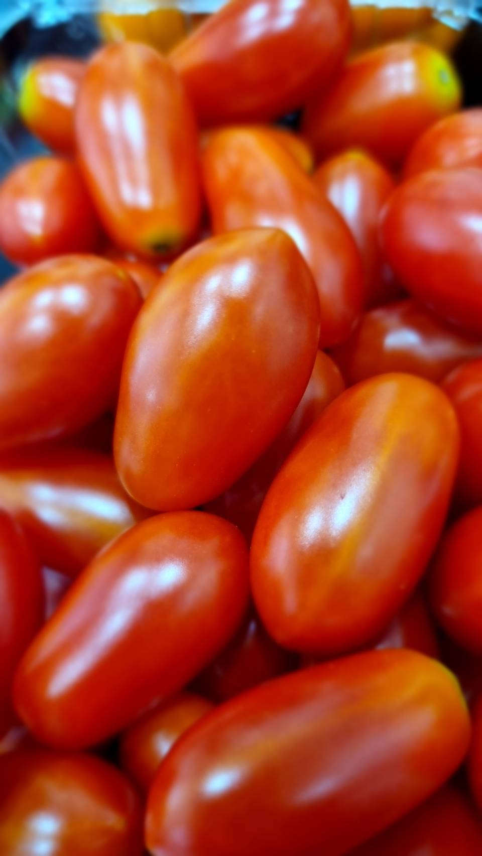 台灣玉女翻茄 Taiwan Cherry Tomato (500grams)