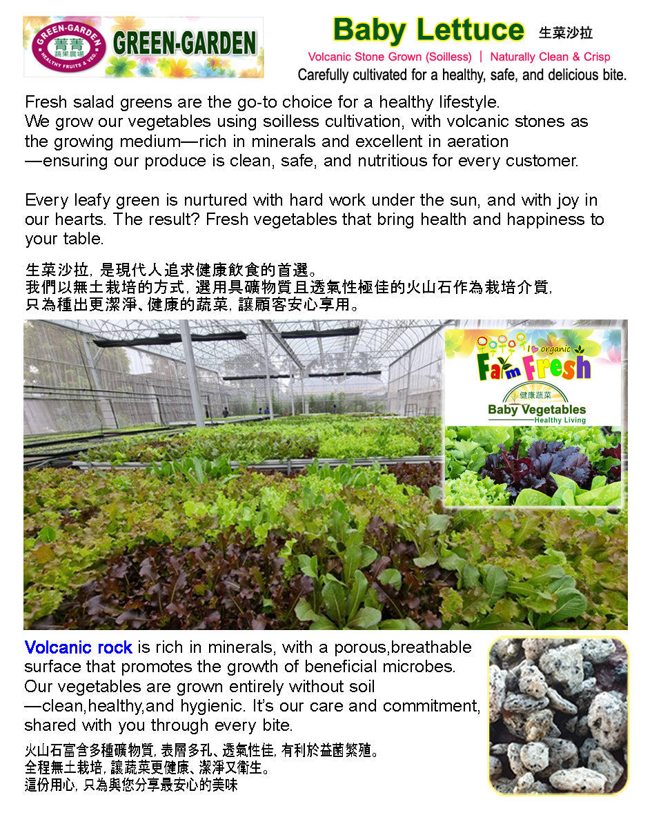 Fresh Baby Veg Lettuce (Vegetable Salad) Styro "SBMA ONLY" 150g/pack