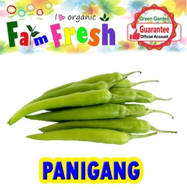 Chili Panigang Seeds 10pcs/pack