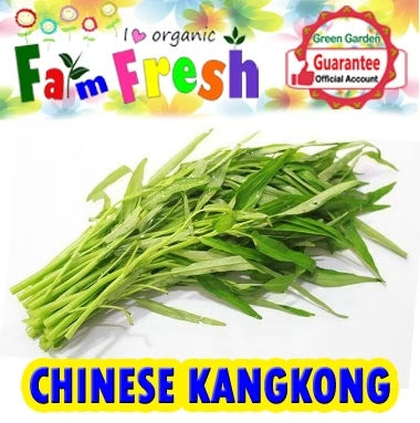Kangkong Seeds (Taiwan Variety) 50pcs/pack