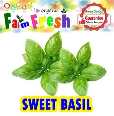 Leafy Veg and Vegetables Assorted Seeds  (Taiwan Variety