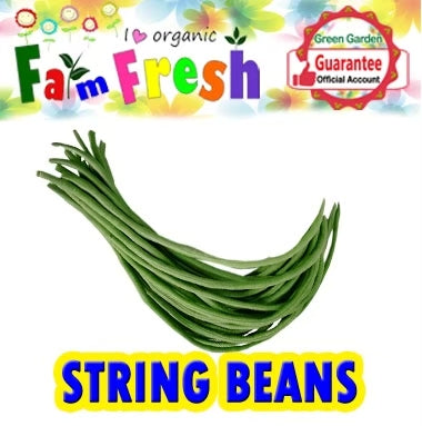 Leafy Veg and Vegetables Assorted Seeds  (Taiwan Variety