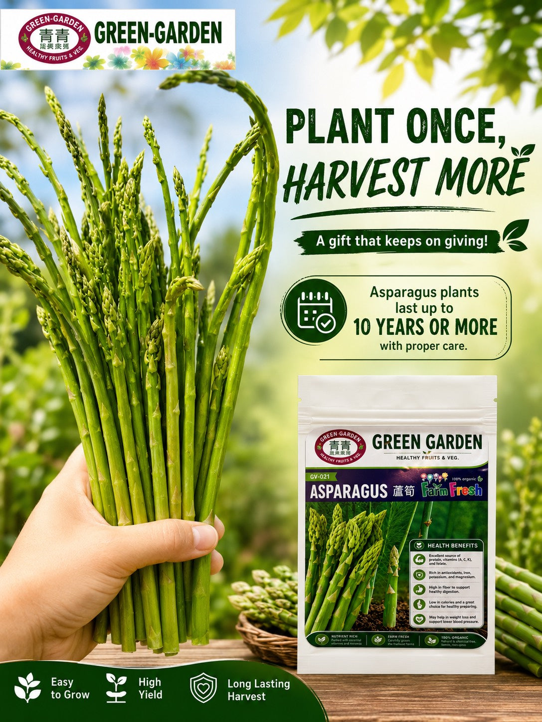 Asparagus Seeds High Germination Vegetable (Approx:50pcs of seed/pack)