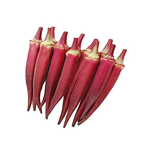 Pre Order Okra Red Seedling (min. of 3 pots) 7x7 seedling Bag