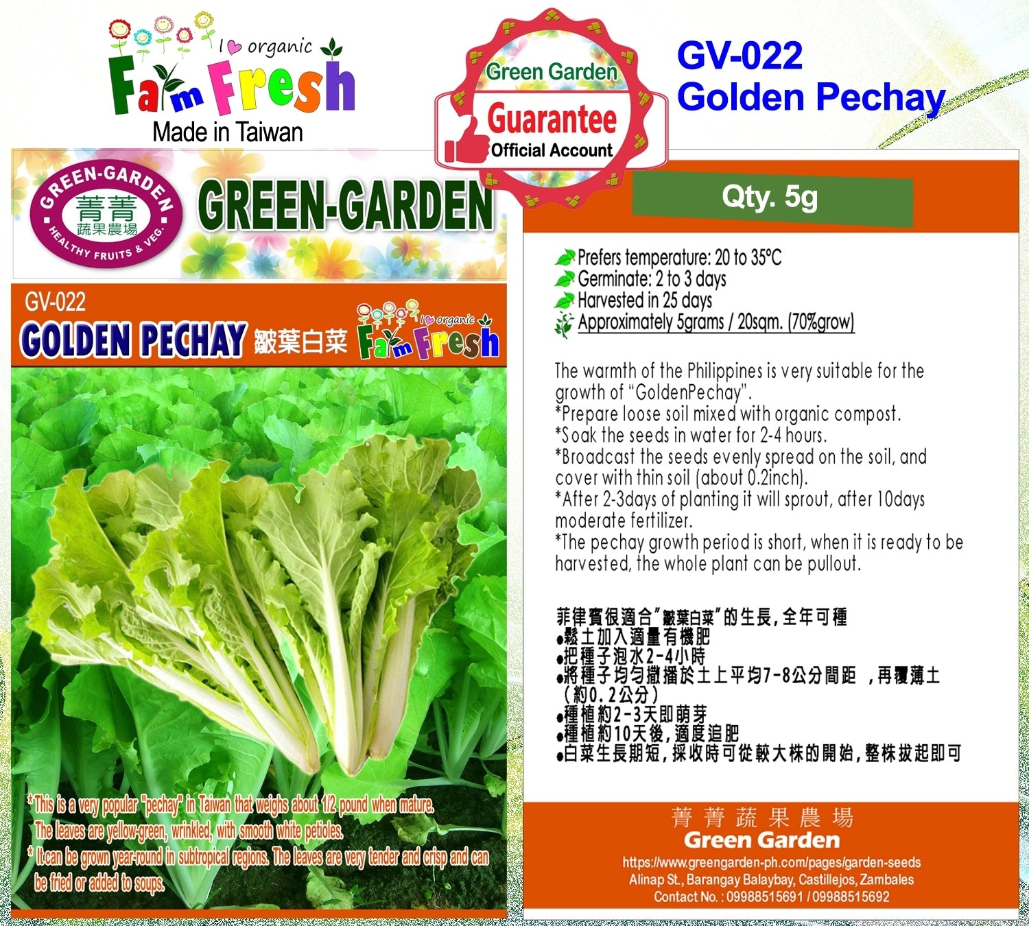 Green Garden Vegetable Seeds (GV-022 Golden Pechay)