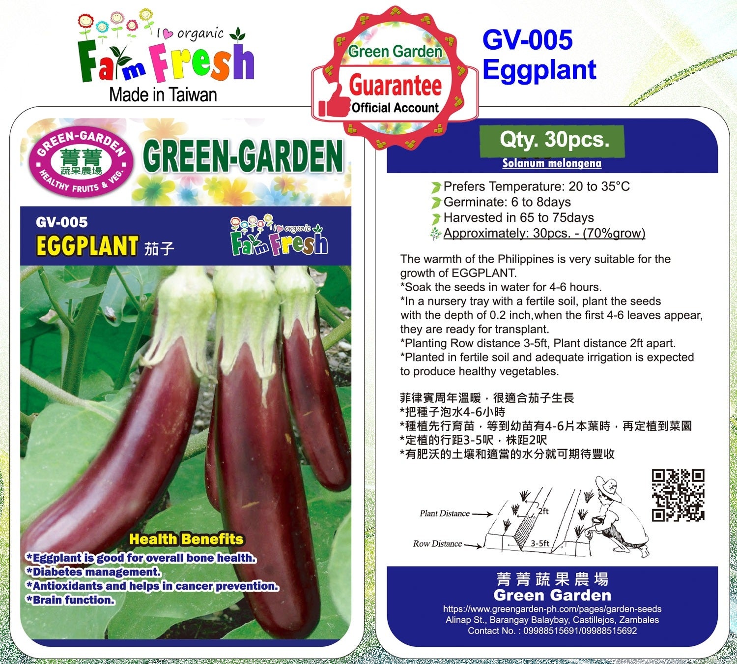 Green Garden Vegetable Seeds (GV-005 Eggplant)