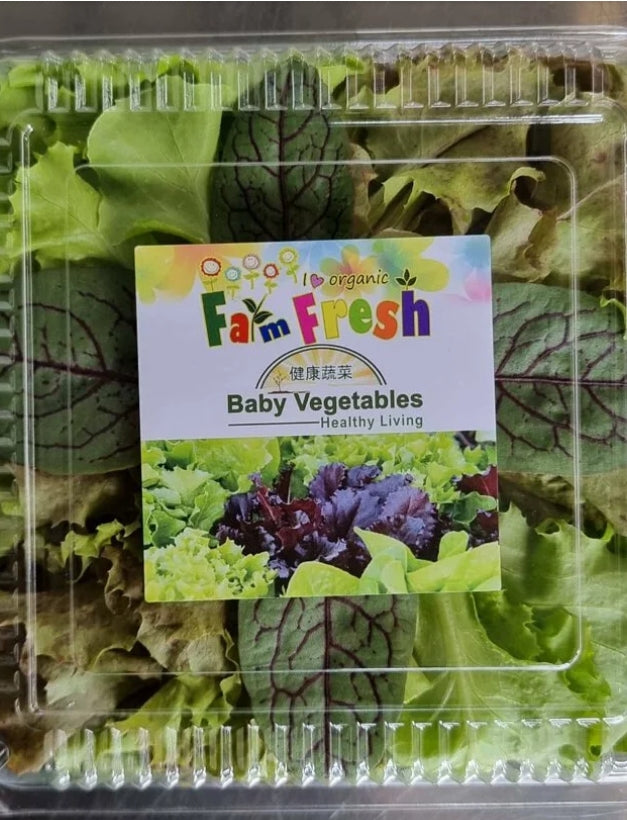 Fresh Baby Veg Lettuce (Vegetable Salad) Styro "SBMA ONLY" 150g/pack