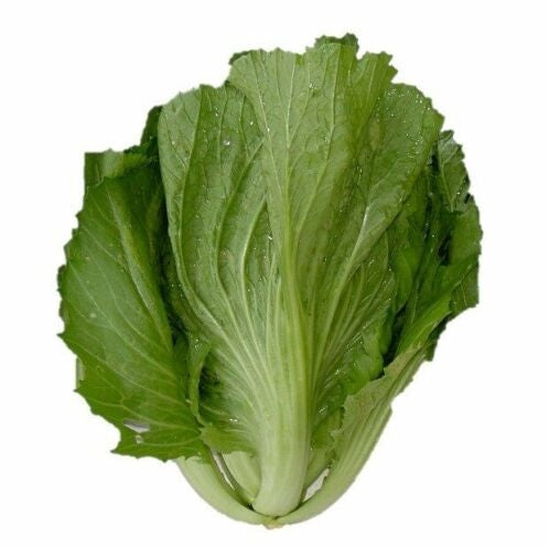 Fresh Vegetable Big mustard (500grams) "SBMA ONLY"