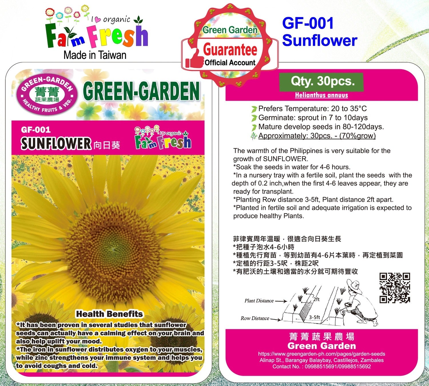 Green Garden Flower Seeds (GF-001 Sunflower)