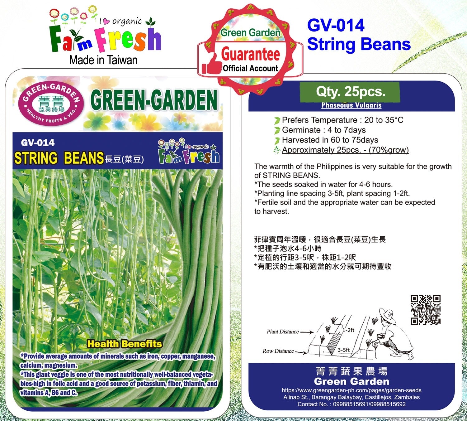 Green Garden Vegetable Seeds (GV-014 String Beans)