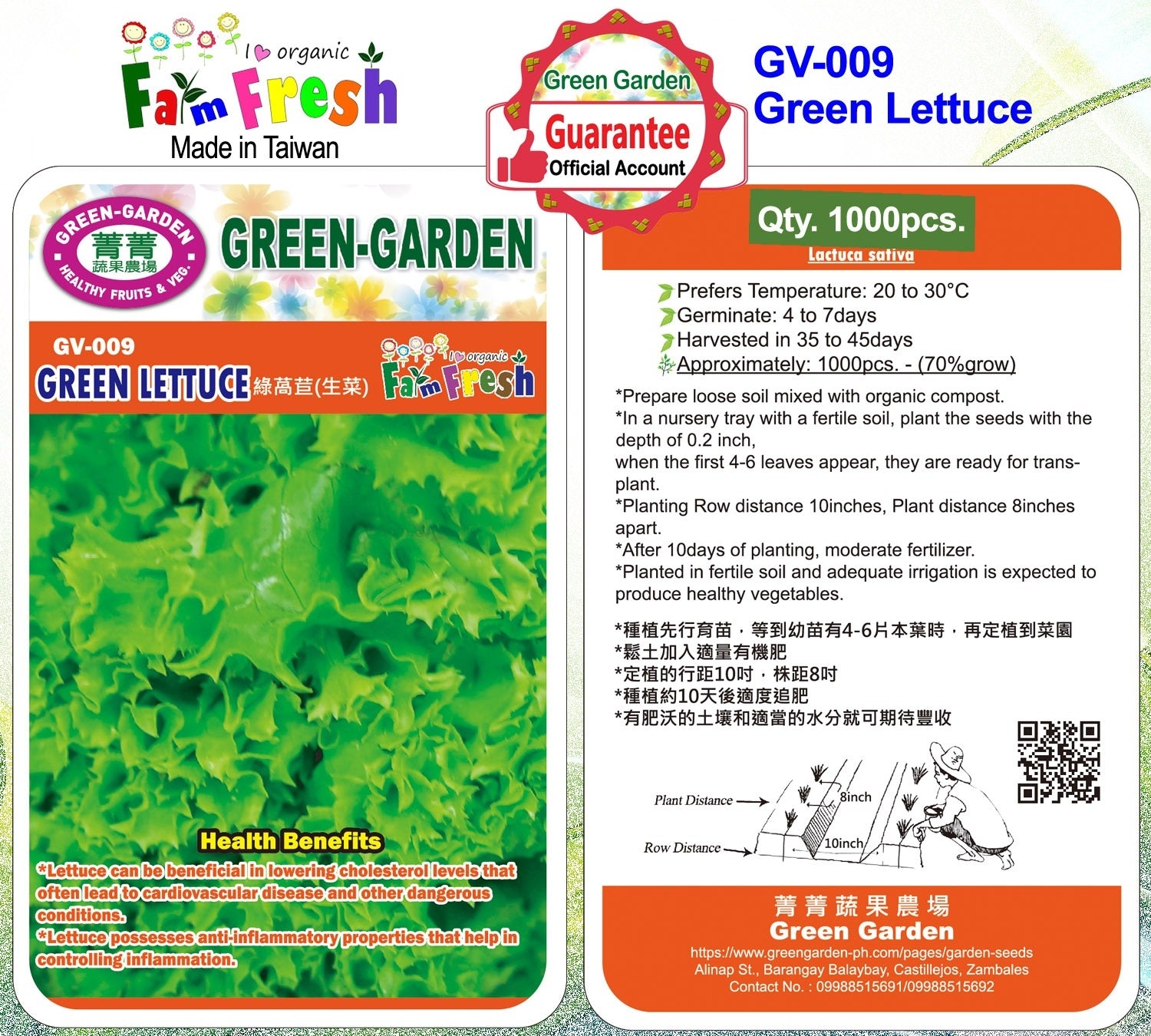 Green Garden Vegetable Seeds (GV-009 Green Lettuce)