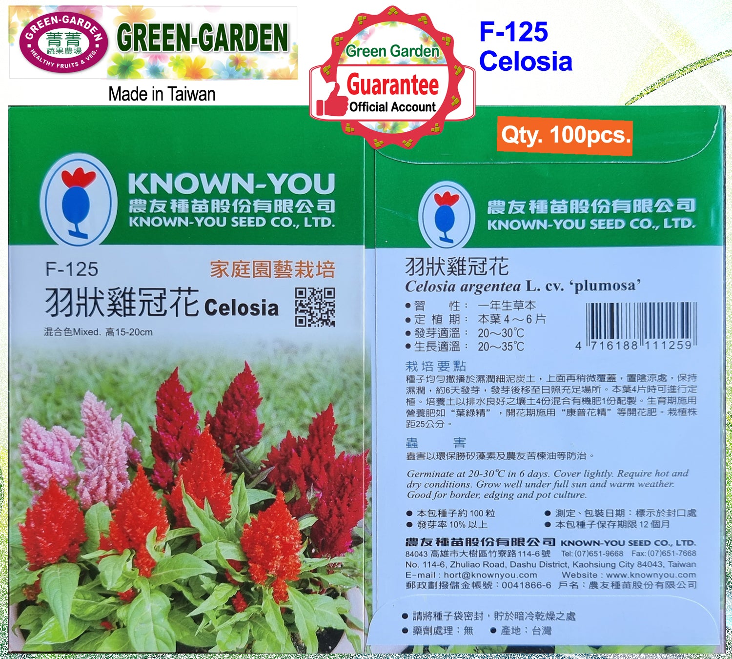 Known You Flower Seeds (F-125 Celosia)