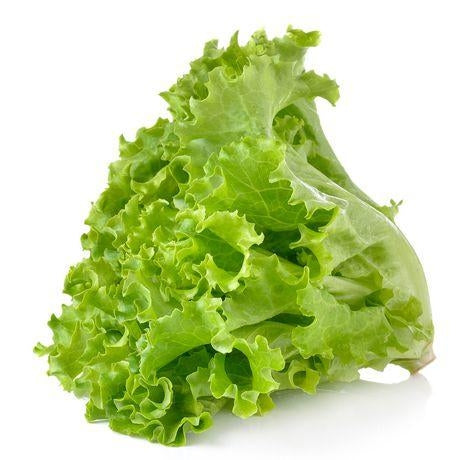 Fresh Vegetable Casablanca Lettuce (150grams) "SBMA ONLY"