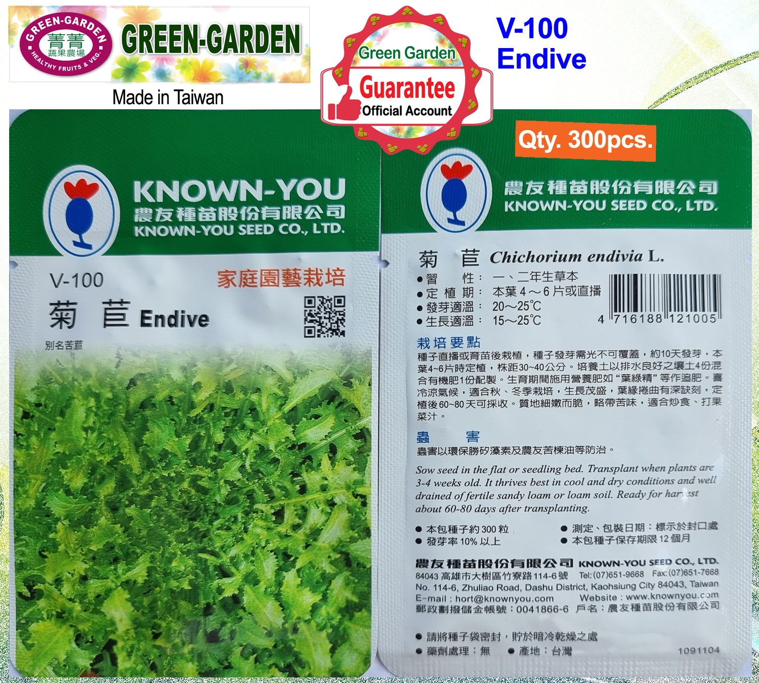 Known You Vegetable Seeds (V-100 Endive)