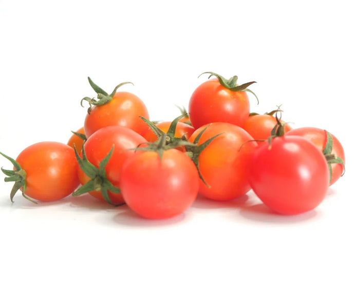 Cherry Tomato Seedling