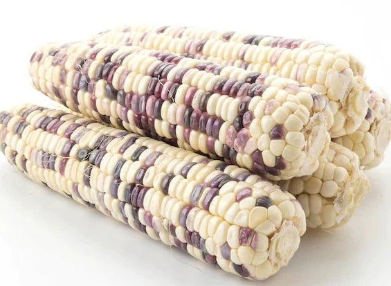 Fresh Vegetable Corn (White & Purple) (1kg) "SBMA ONLY"