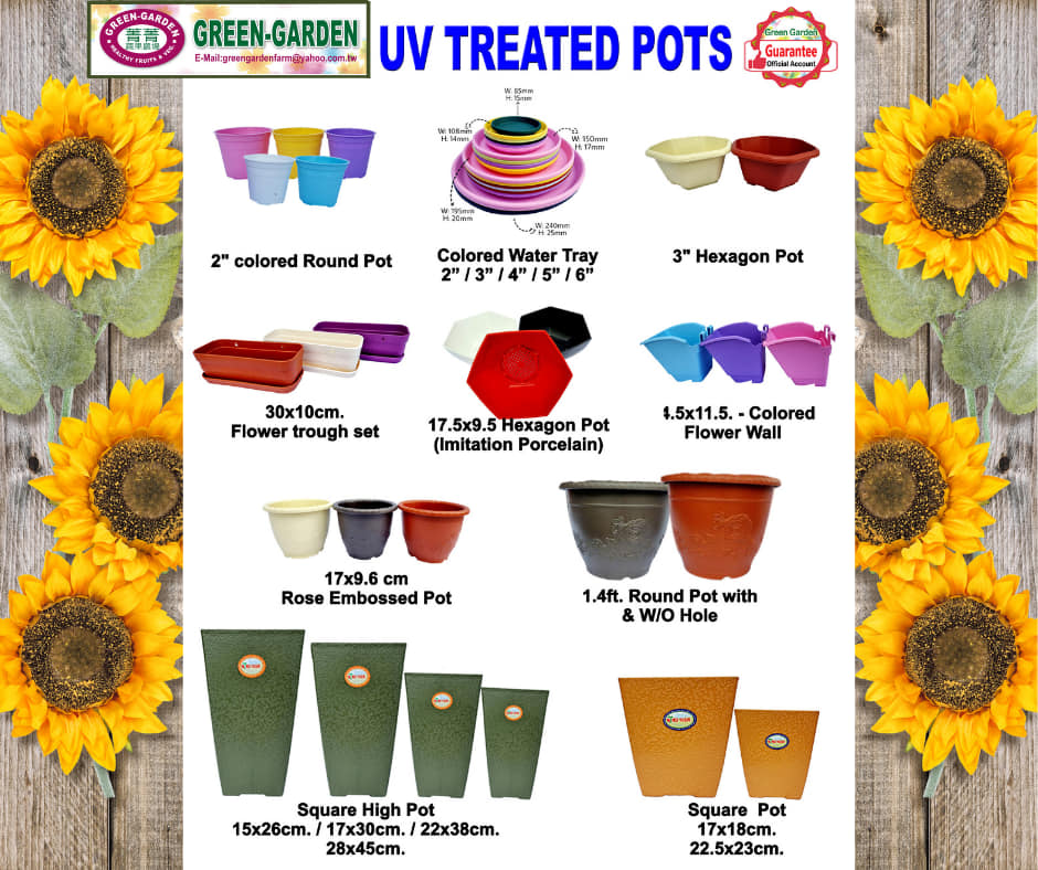 UV TREATED Colored Round Pot 3" (6pcs)