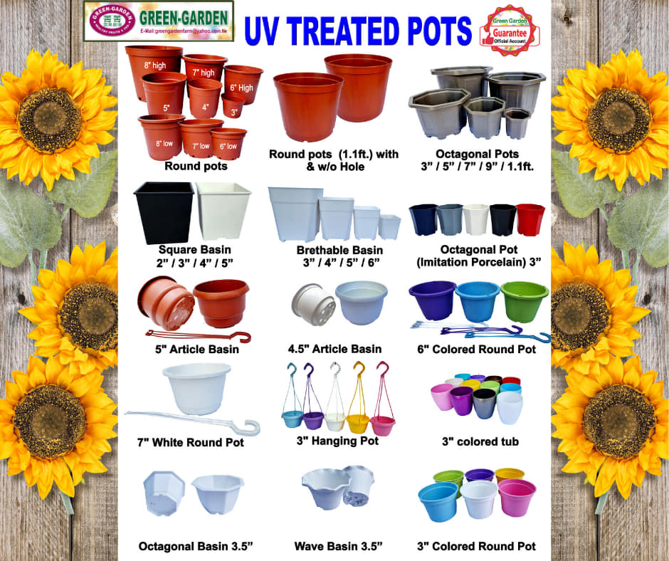 UV TREATED Colored Hanging Pot 3"