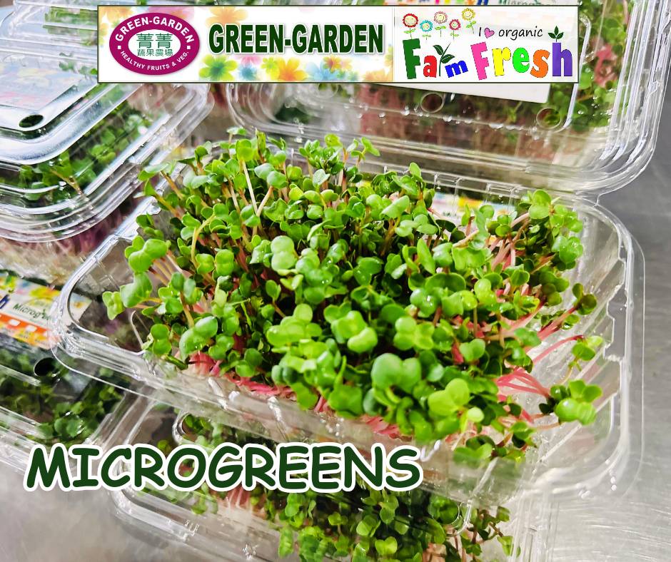 Vegetable Fresh Microgreen