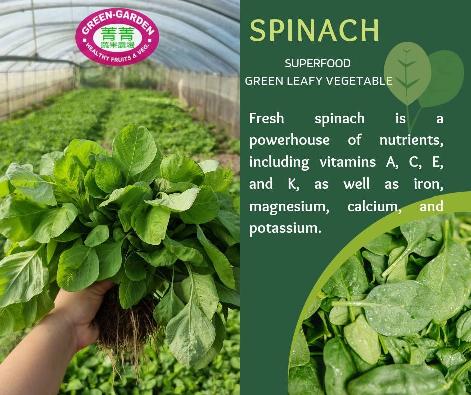 Fresh Vegetable Taiwan Spinach (250grams) "SBMA ONLY"