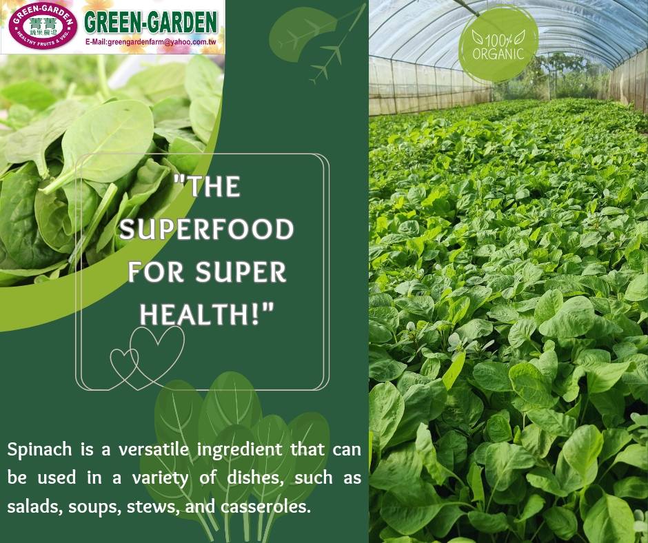 Fresh Vegetable Taiwan Spinach (250grams) "SBMA ONLY"