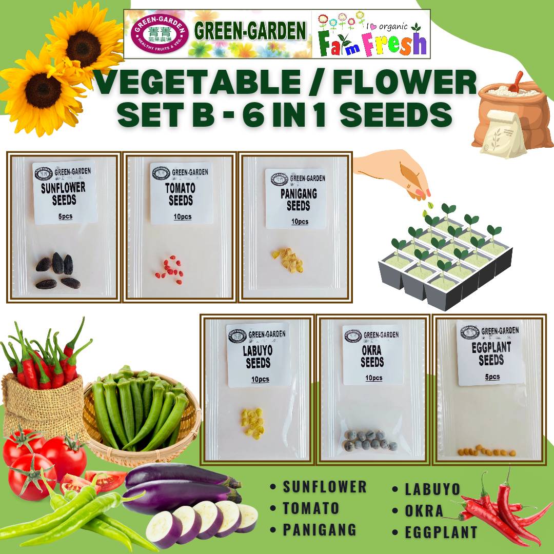 Leafy Veg and Vegetables Assorted Seeds  (Taiwan Variety