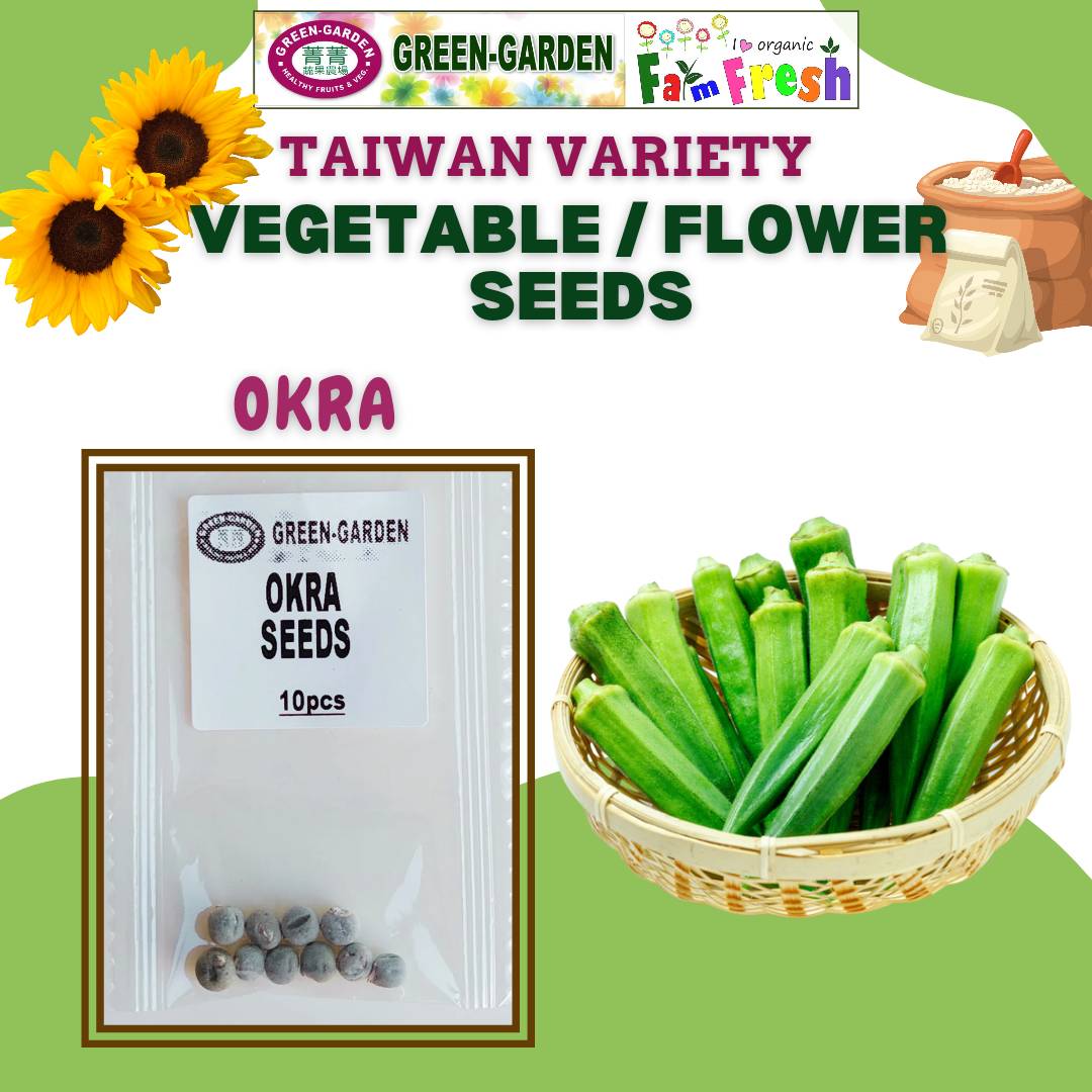 Okra Seeds (Taiwan Variety) 10pcs/pack