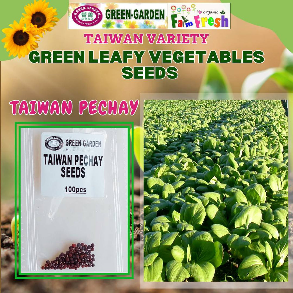 Taiwan Pechay (Taiwan Variety) 100pcs/pack