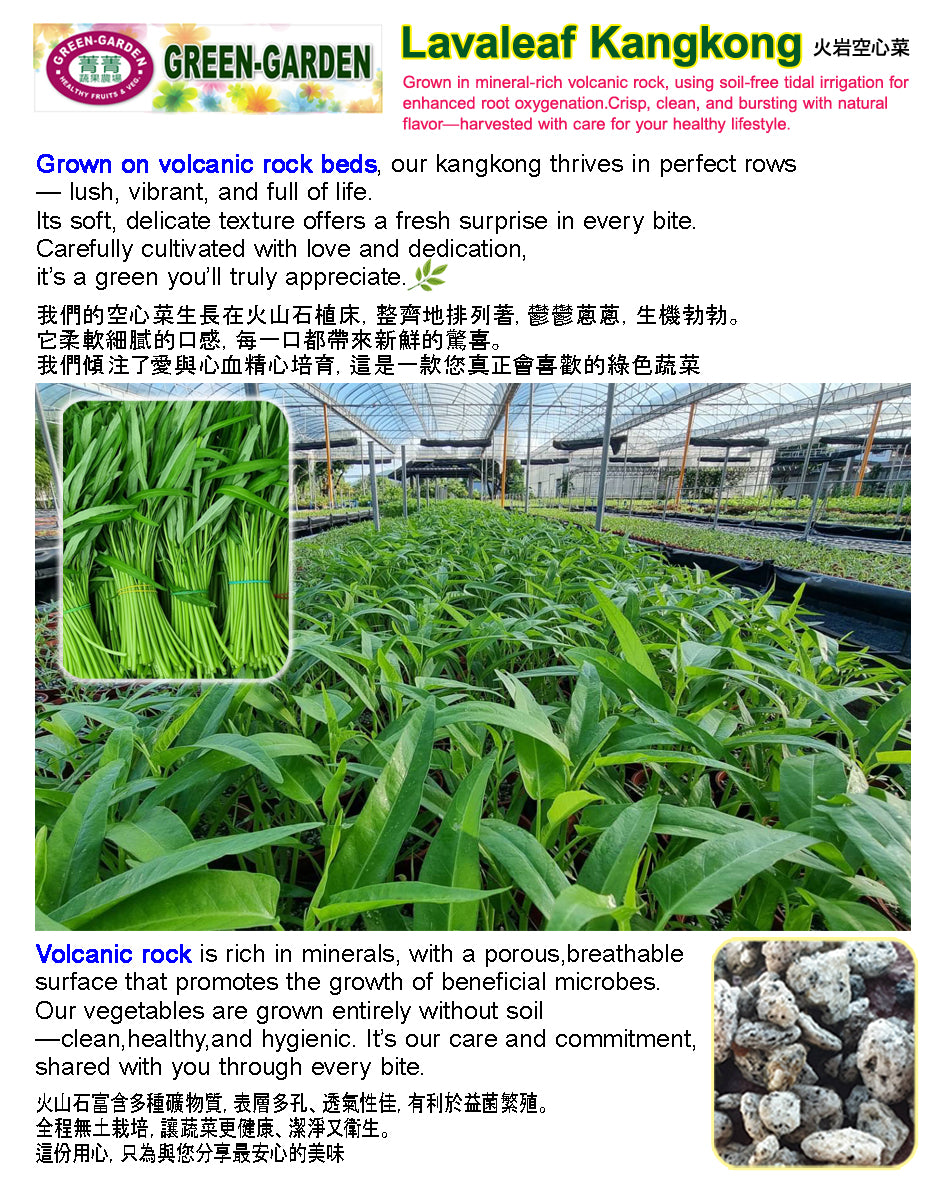 Fresh Vegetable Taiwan Lavaleaf Kangkong (200grams) "SBMA ONLY"