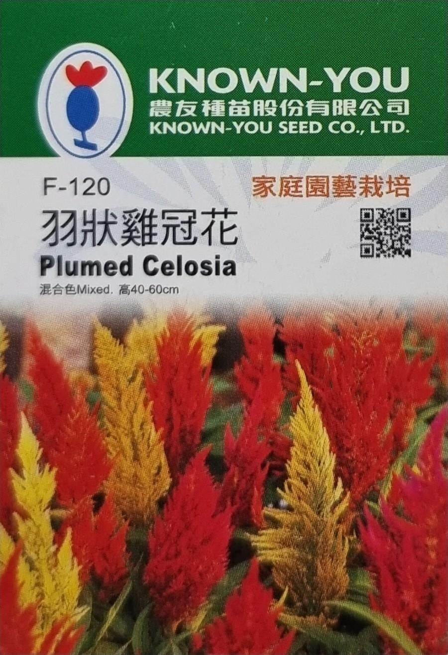 Known You Flower Seeds: Perfect for Cold Climates