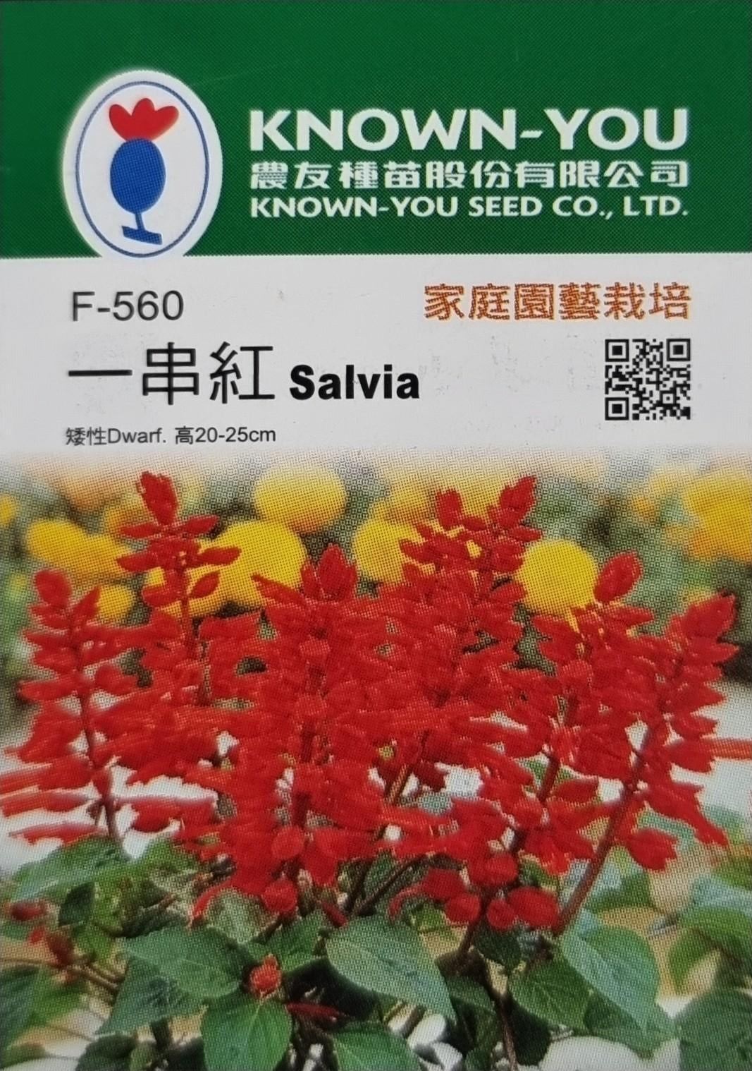 Known You Flower Seeds: Perfect for Cold Climates