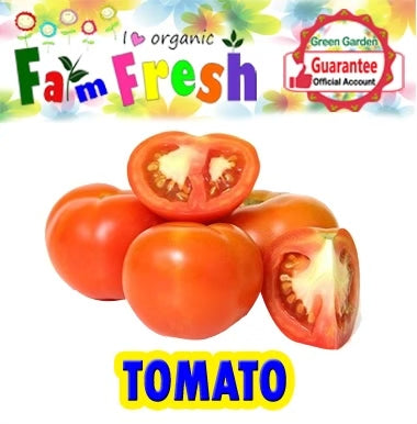 Tomato Seeds (Taiwan Variety) 10pcs/pack