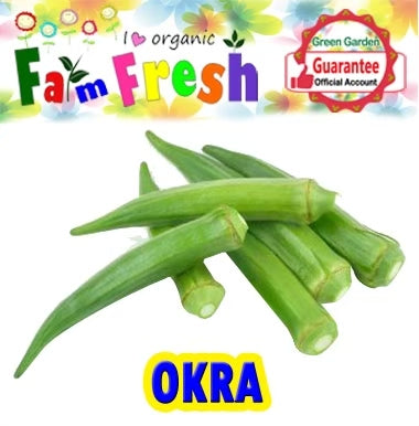 Okra Seeds (Taiwan Variety) 10pcs/pack