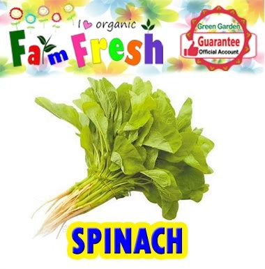 Spinach Seeds (Taiwan Variety) 200ps/pack