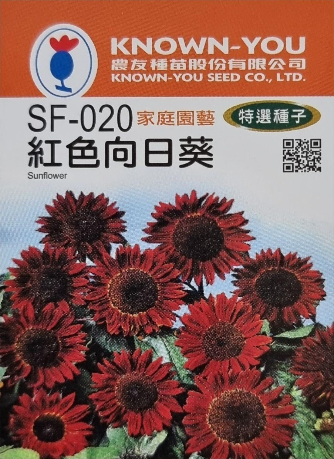 Known You Flower Seeds: Perfect for Cold Climates