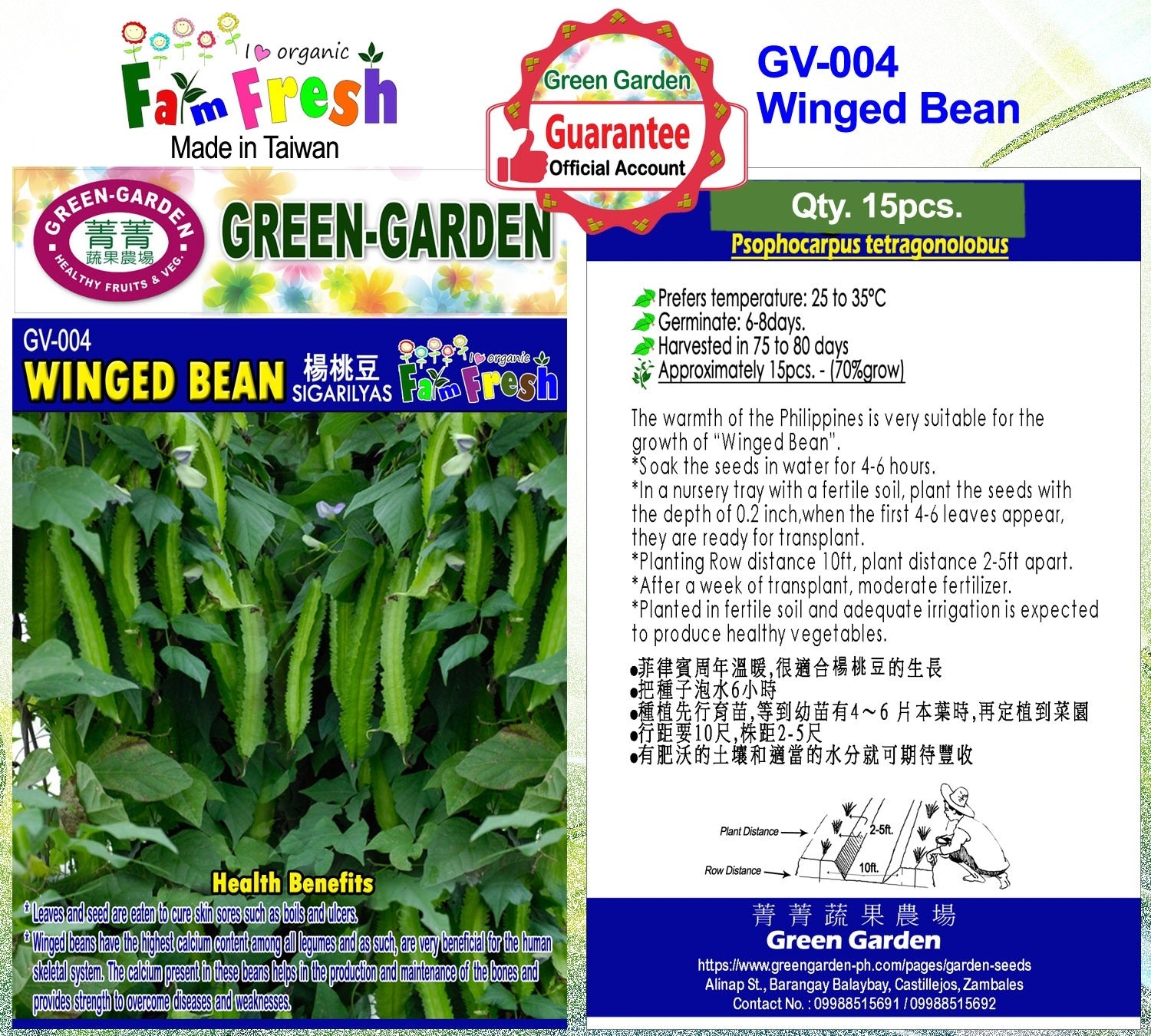 Green Garden Vegetable Seeds (GV-004 Winged Bean)