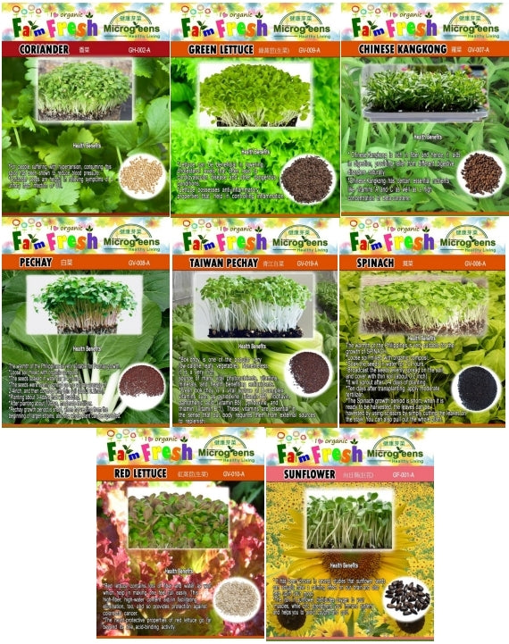 Taiwan Pechay Seeds (Herbs & Vegetable Seeds , Larger Packed)
