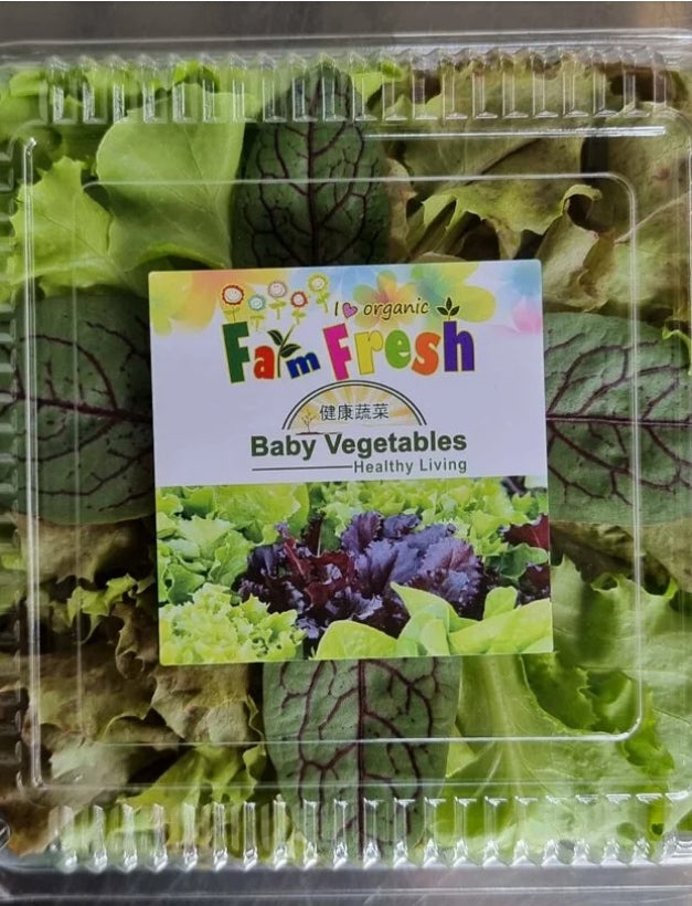 Fresh Baby Vegetables (Vegetable Salad) "SBMA ONLY"