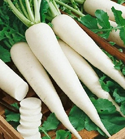 Fresh Vegetable Radish (1kg) "SBMA ONLY"
