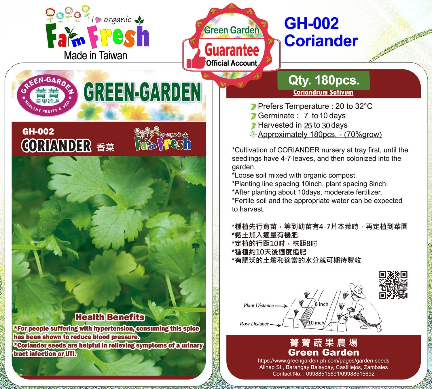 Green Garden Herb Seeds (GH-002 Coriander)