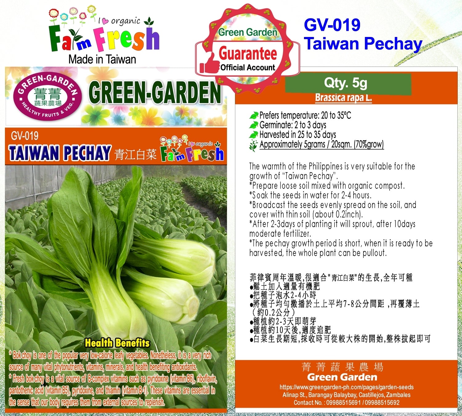 Green Garden Vegetable Seeds (GV-019 Taiwan Pechay)
